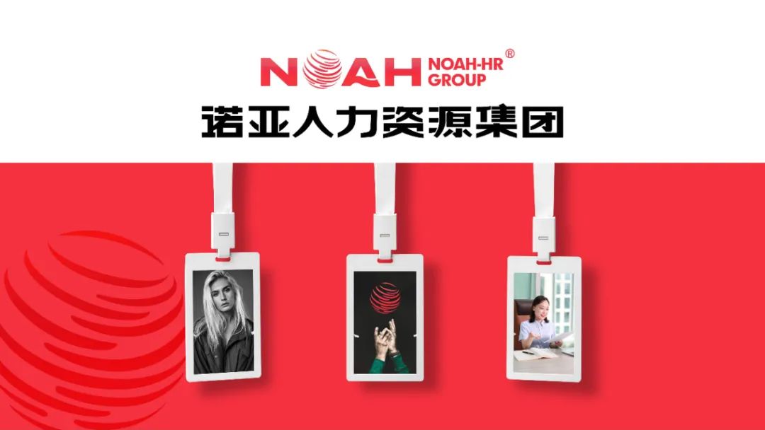 經(jīng)營產(chǎn)值56.58億，利稅總額1.6億 | 諾亞集團2024年企業(yè)發(fā)展年報新鮮出爐
